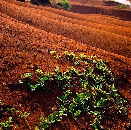 《莱莎的炼金工房3》销量破30万 媒体评价影片公开